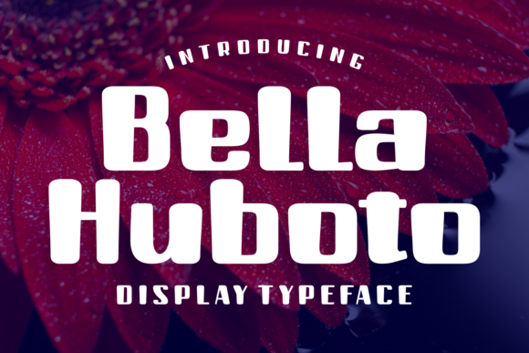 Bella Huboto: A Display Font That Elevates Editorial Design